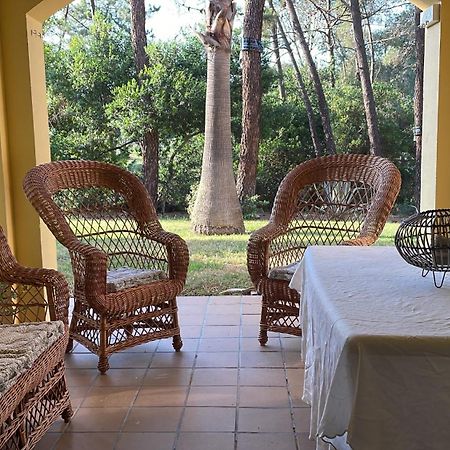 Apartamento Green Golf איסלנטייה מראה חיצוני תמונה
